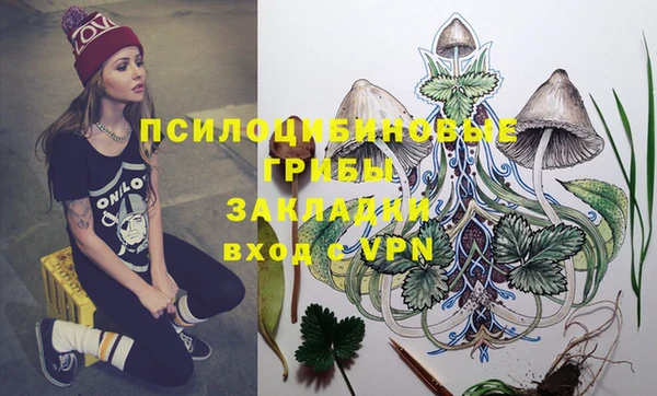 a pvp Абинск