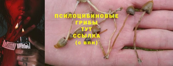 герыч Абаза