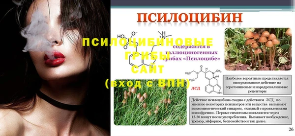a pvp Абинск